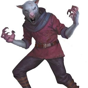 Meet your Posher, Heidi